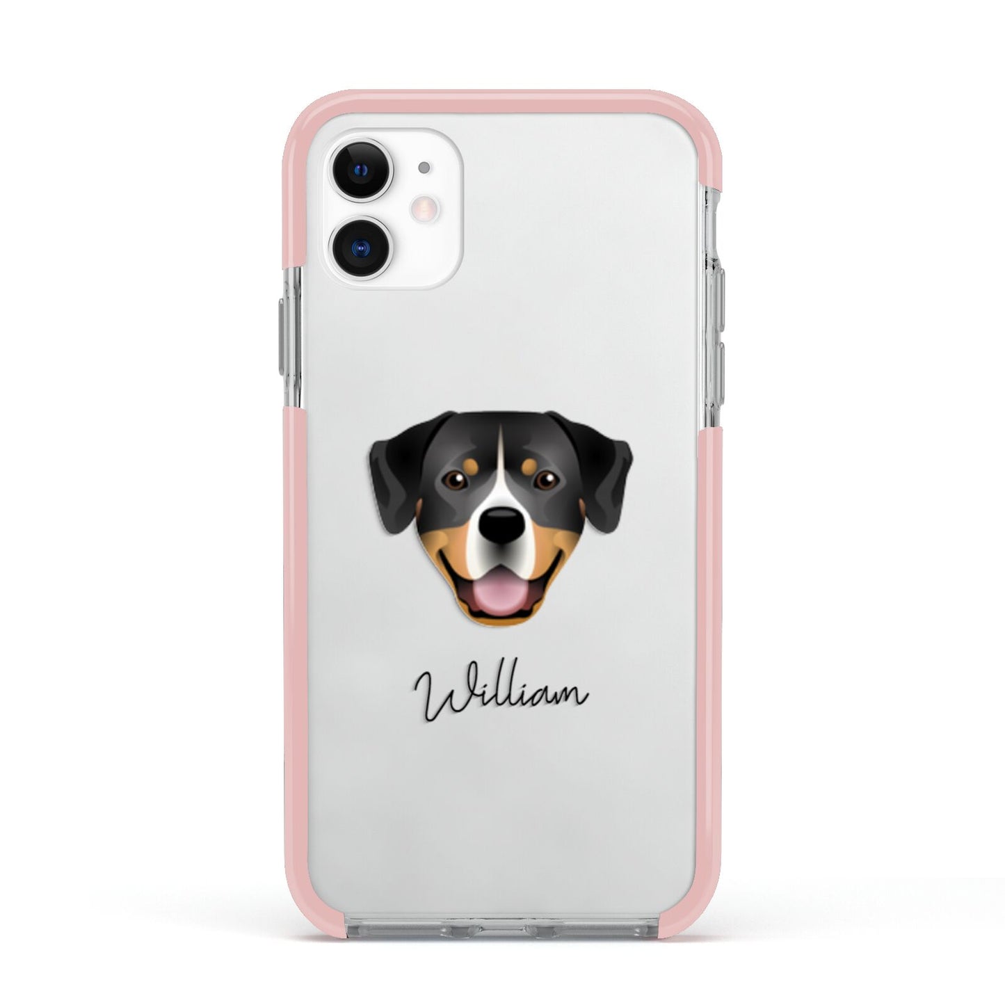 Entlebucher Mountain Dog Personalised Apple iPhone 11 in White with Pink Impact Case