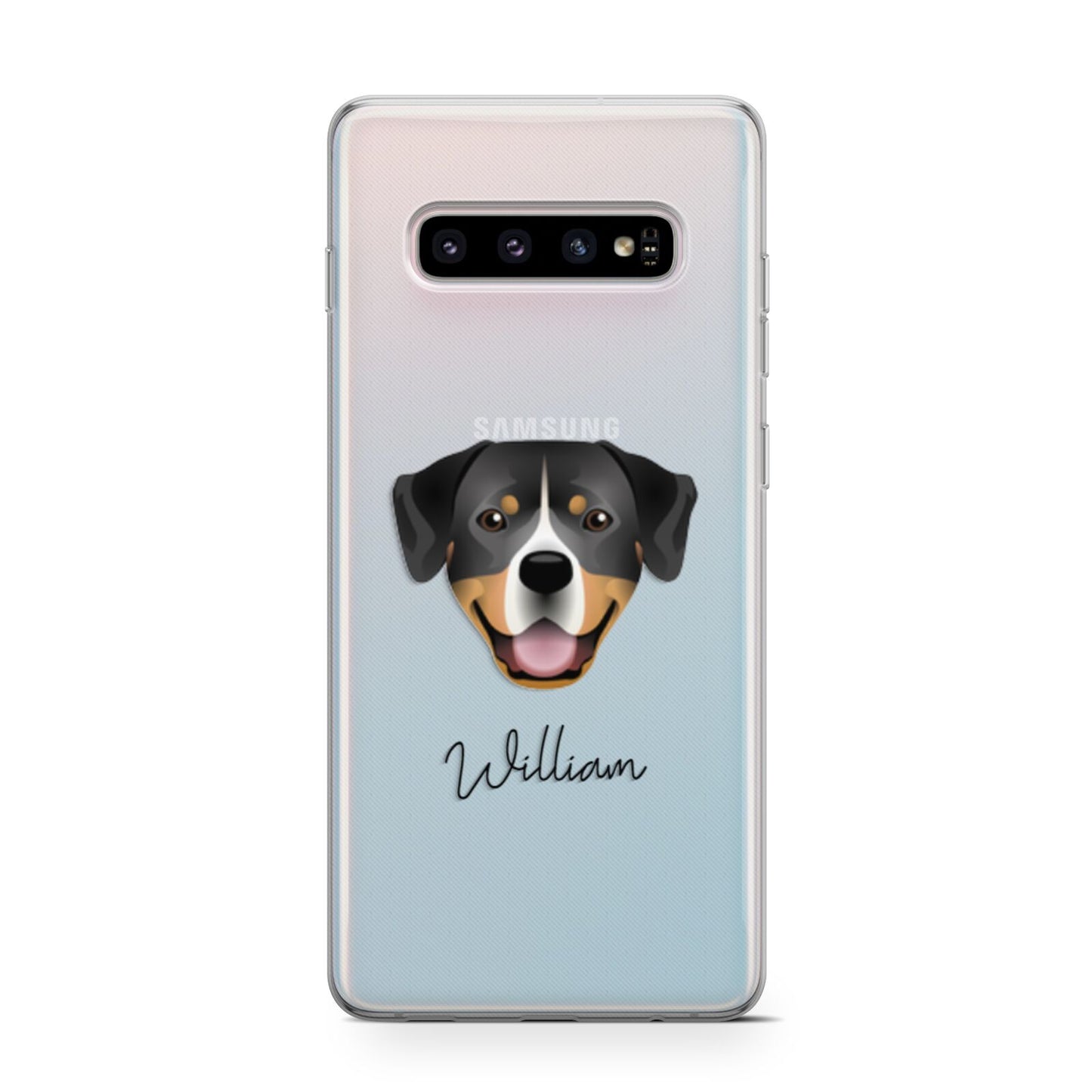 Entlebucher Mountain Dog Personalised Samsung Galaxy S10 Case