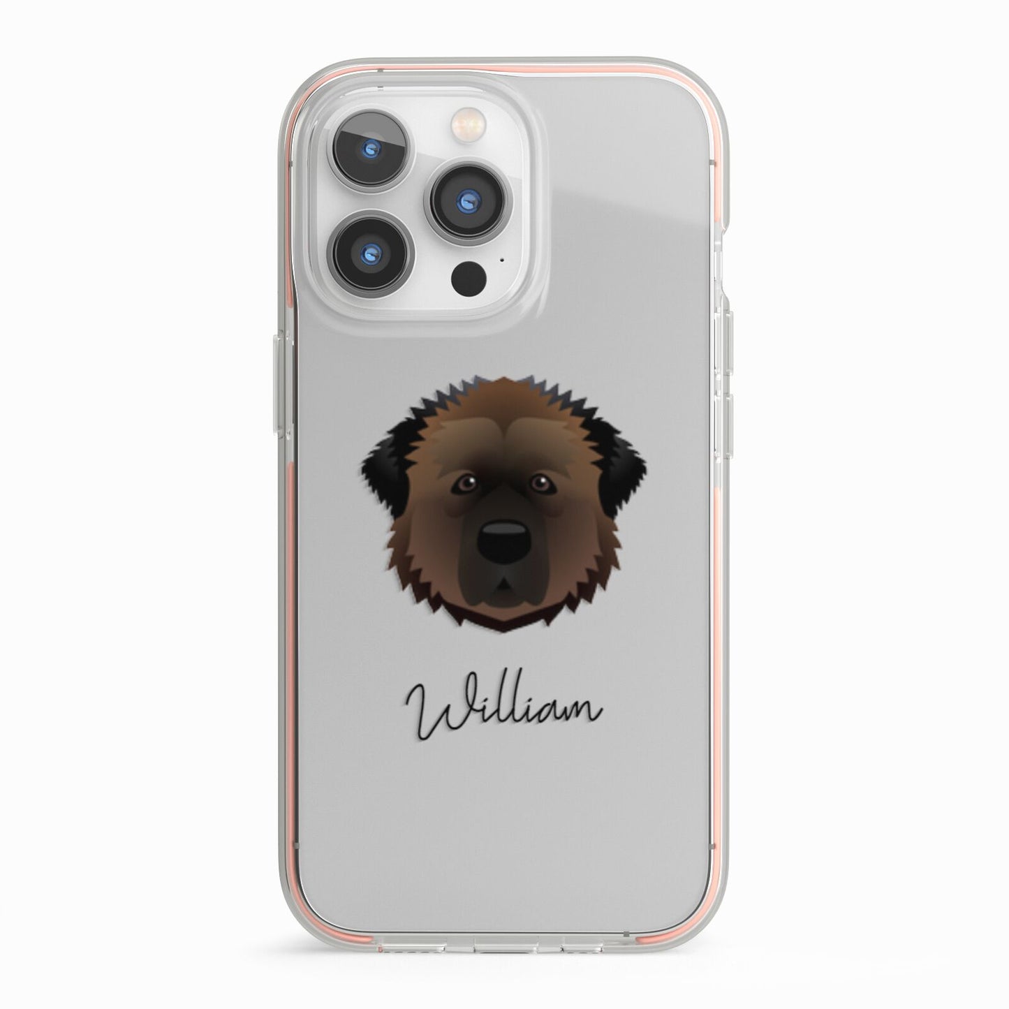 Estrela Mountain Dog Personalised iPhone 13 Pro TPU Impact Case with Pink Edges