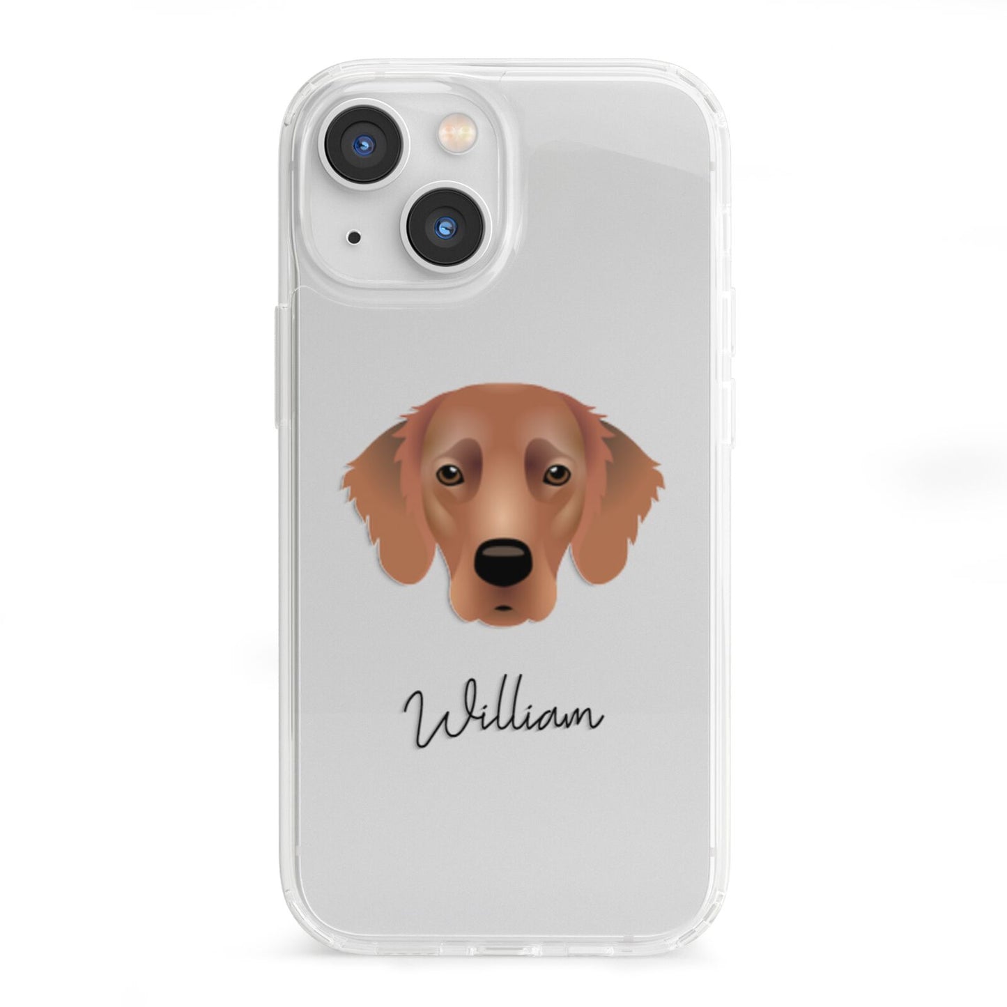 Flat Coated Retriever Personalised iPhone 13 Mini Clear Bumper Case