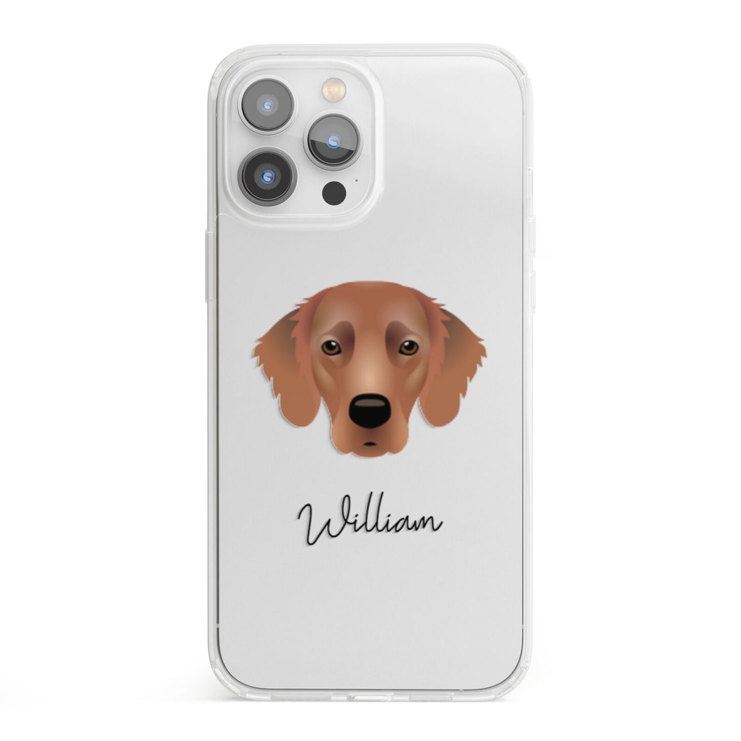 Flat Coated Retriever Personalised iPhone 13 Pro Max Clear Bumper Case