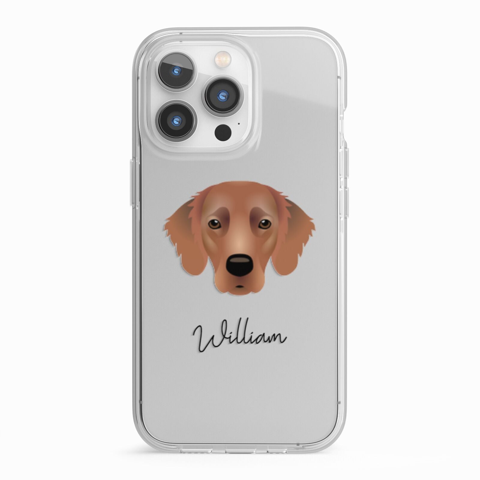 Flat Coated Retriever Personalised iPhone 13 Pro TPU Impact Case with White Edges