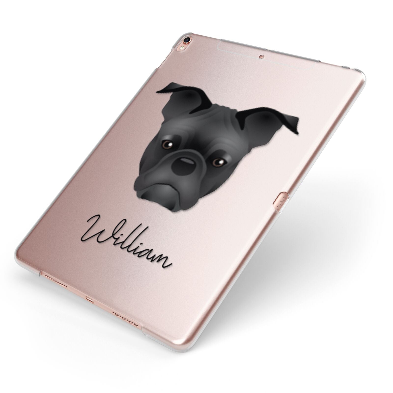 Frug Personalised Apple iPad Case on Rose Gold iPad Side View