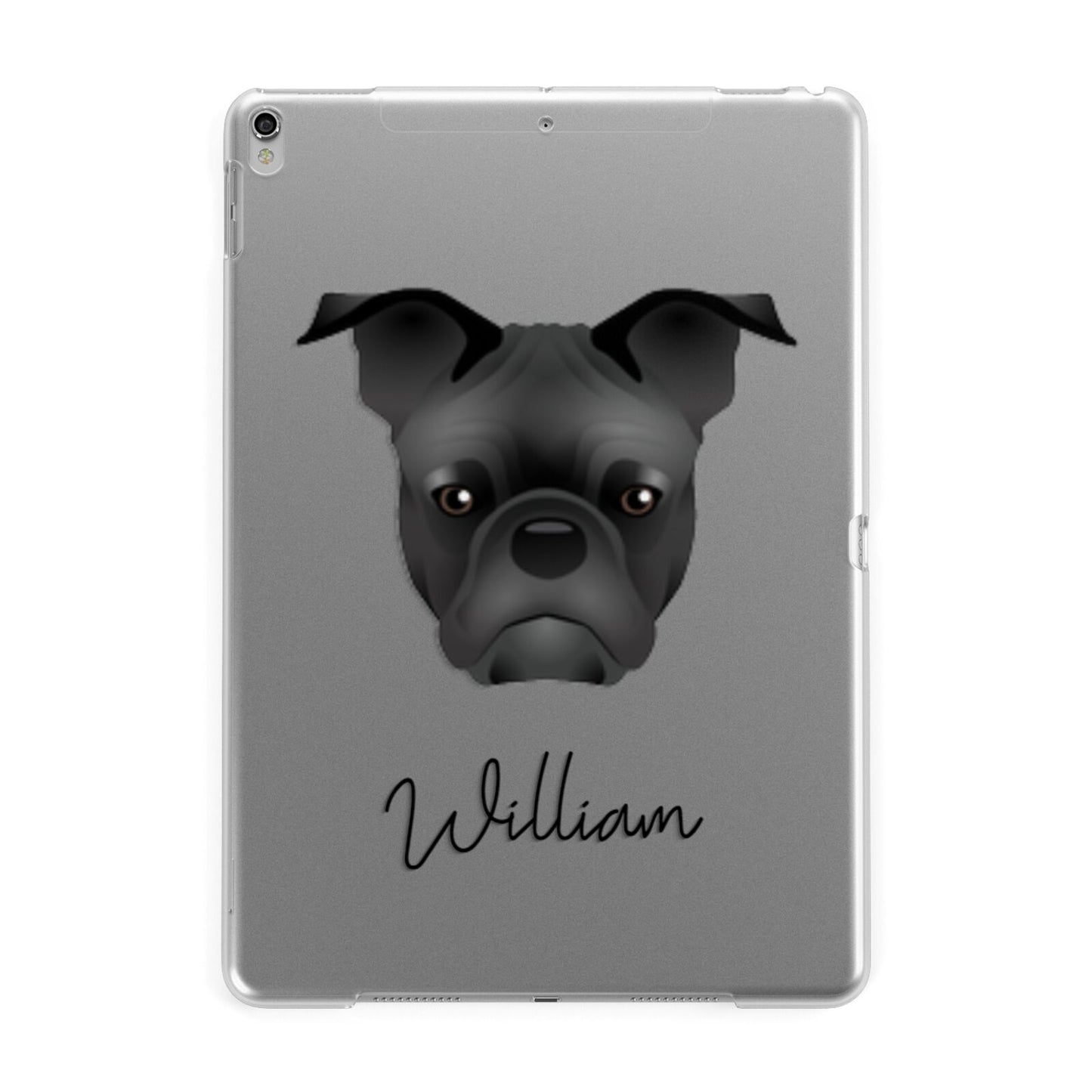 Frug Personalised Apple iPad Silver Case