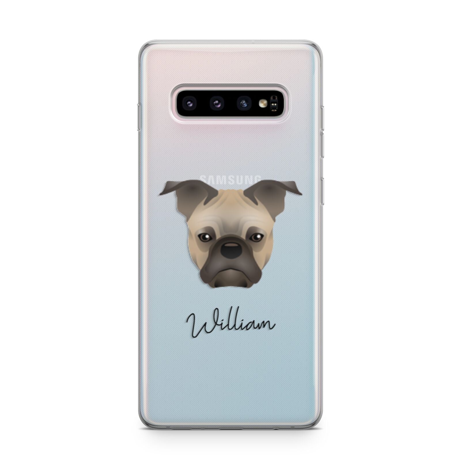 Frug Personalised Samsung Galaxy S10 Plus Case