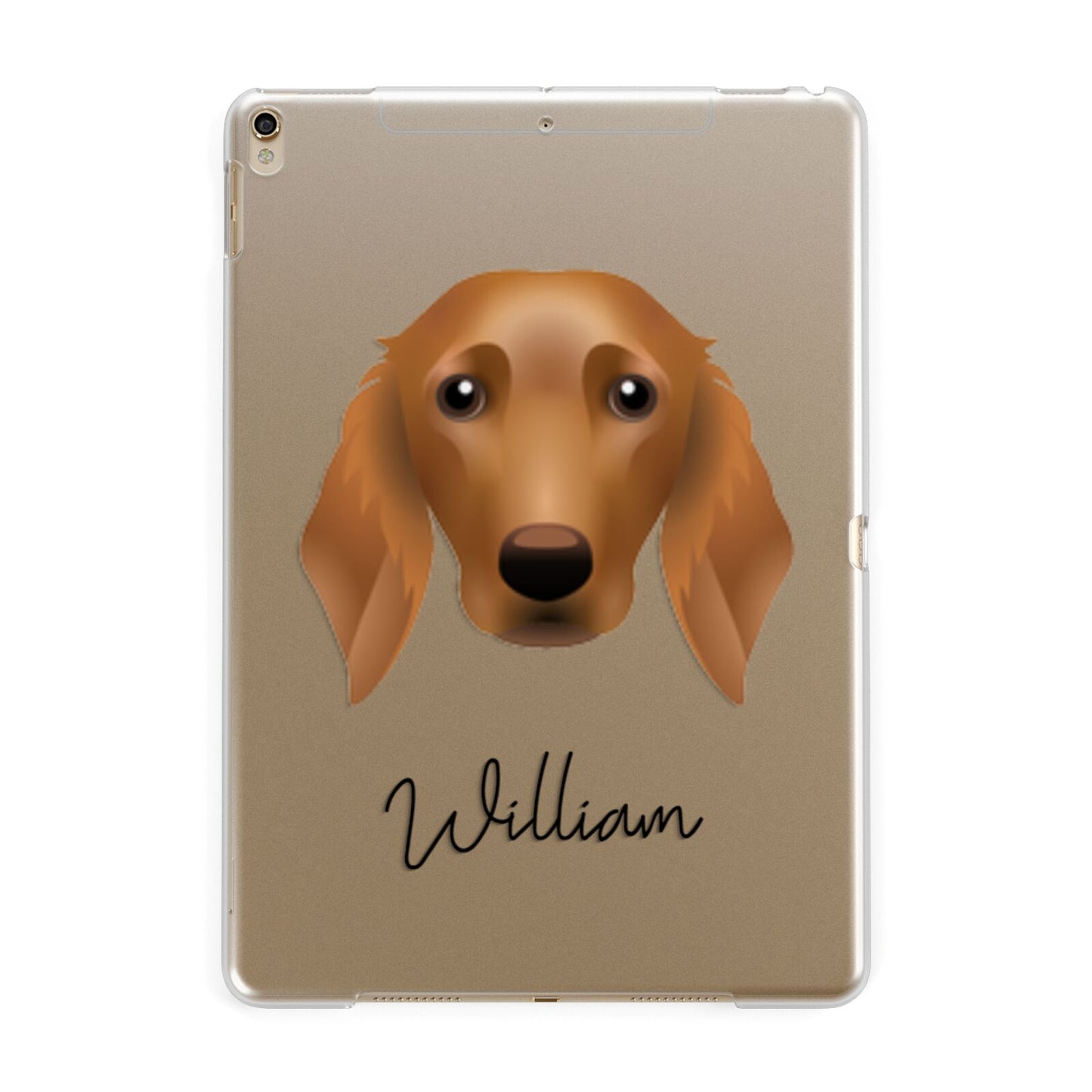 Golden Dox Personalised Apple iPad Gold Case