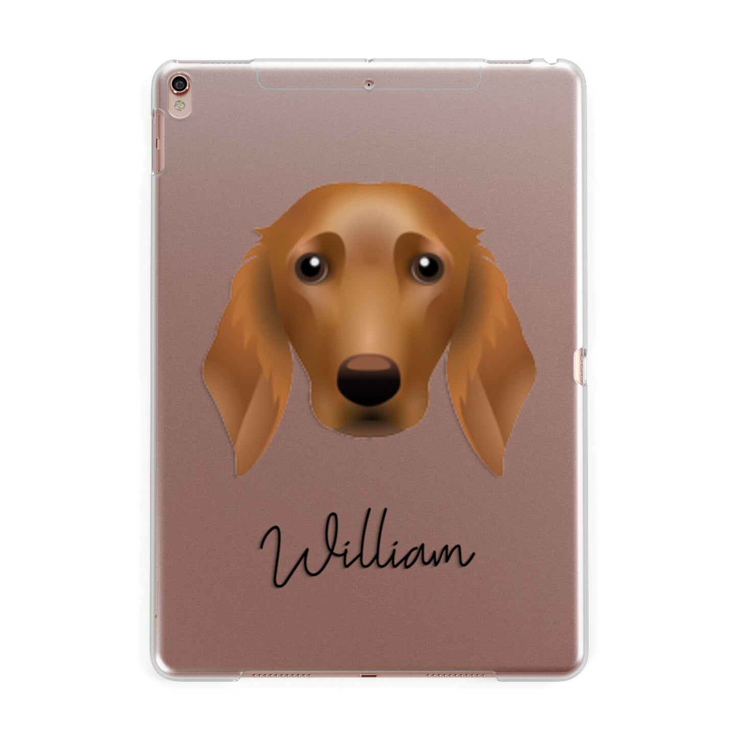 Golden Dox Personalised Apple iPad Rose Gold Case