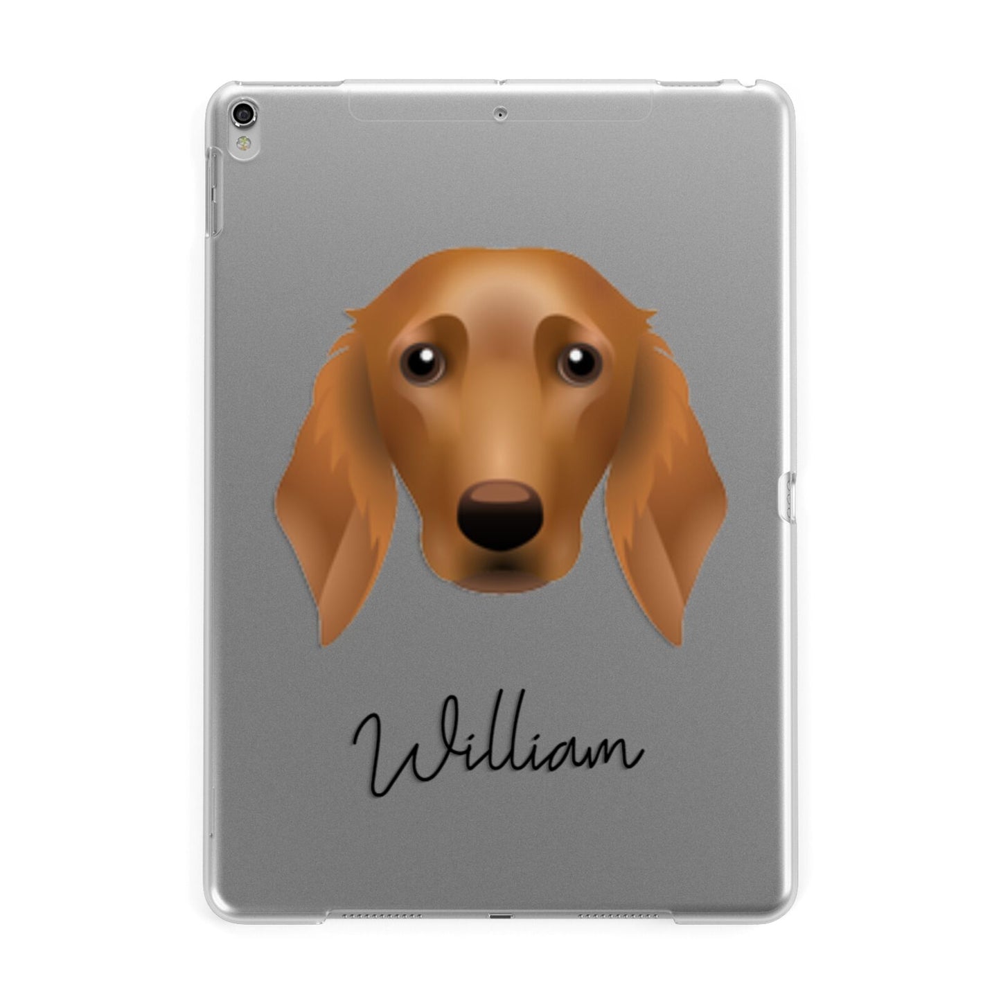 Golden Dox Personalised Apple iPad Silver Case