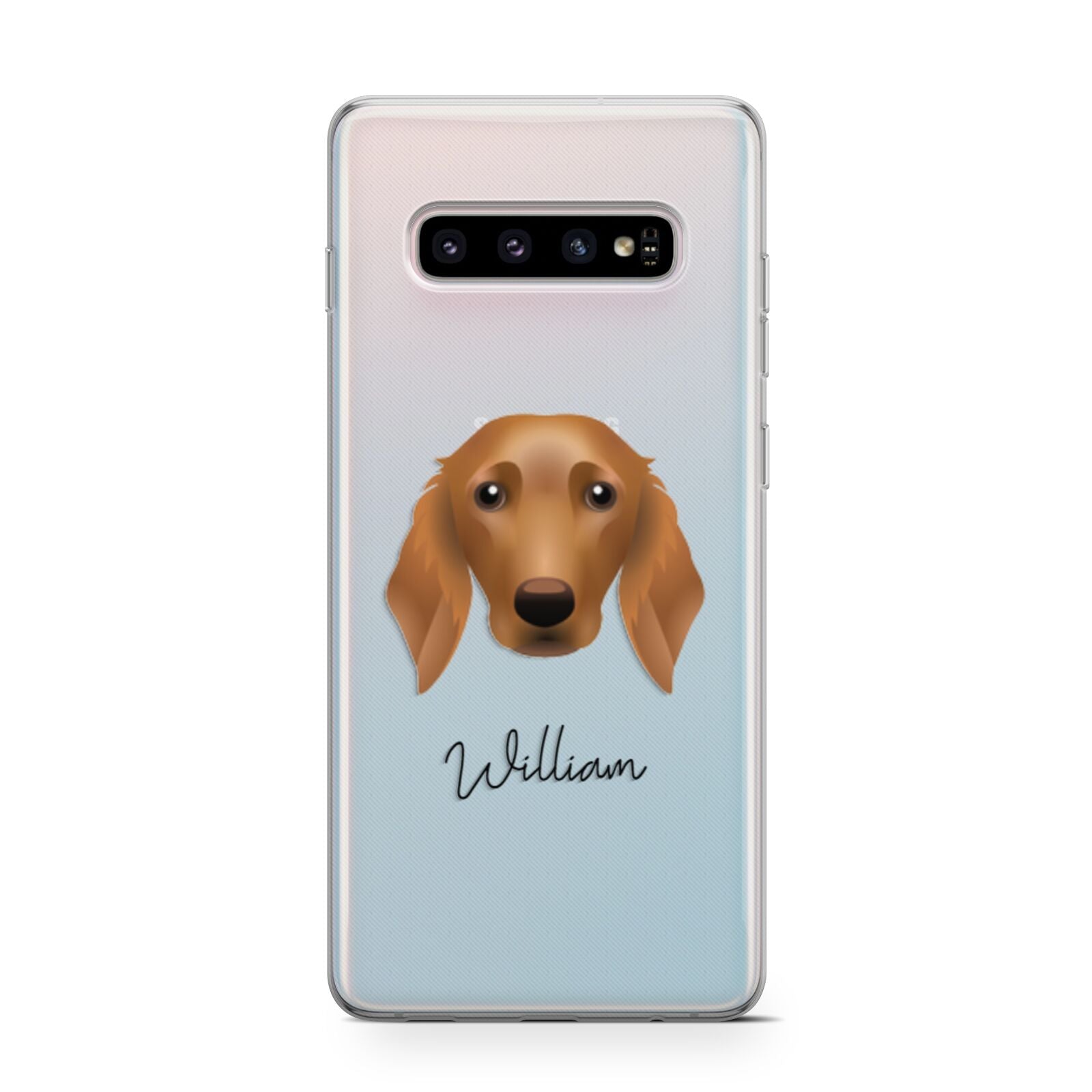 Golden Dox Personalised Samsung Galaxy S10 Case