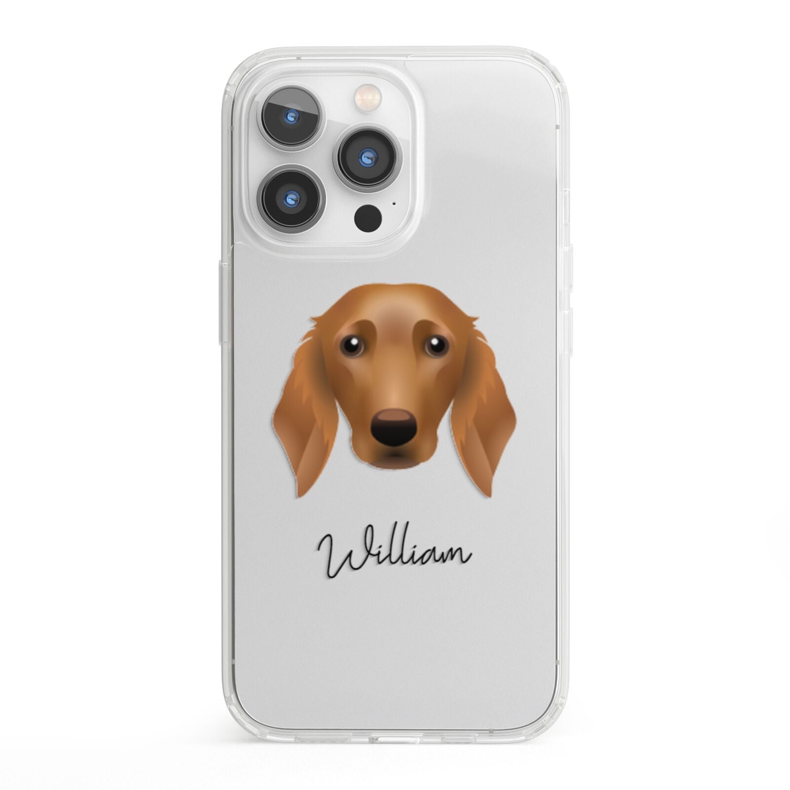 Golden Dox Personalised iPhone 13 Pro Clear Bumper Case