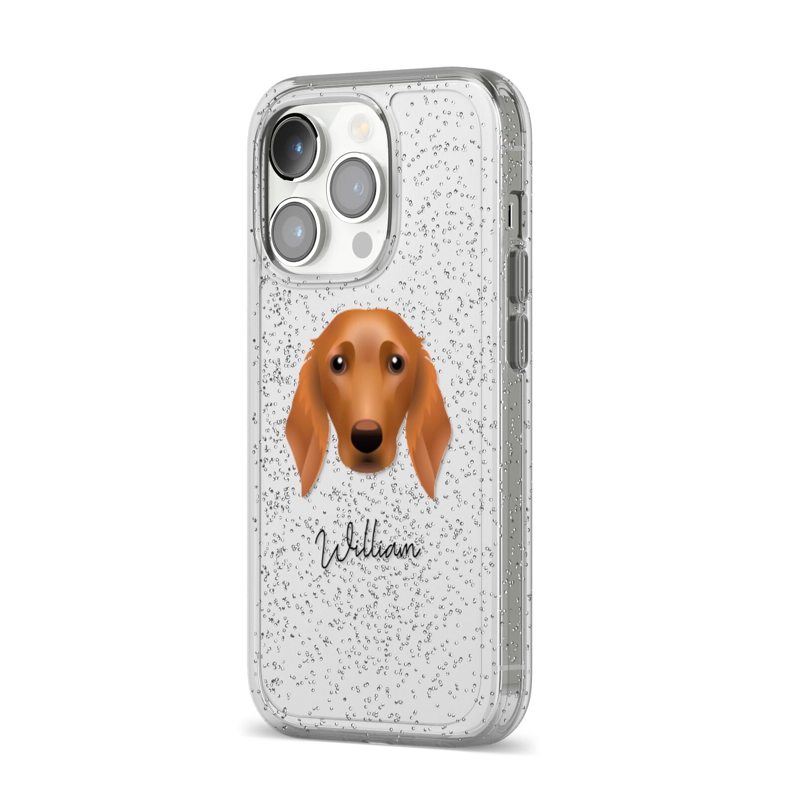 Golden Dox Personalised iPhone 14 Pro Glitter Tough Case Silver Angled Image