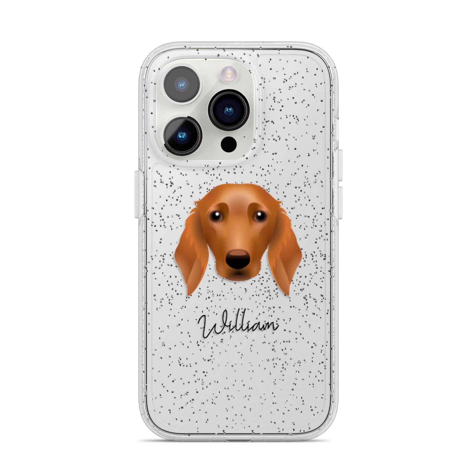 Golden Dox Personalised iPhone 14 Pro Glitter Tough Case Silver