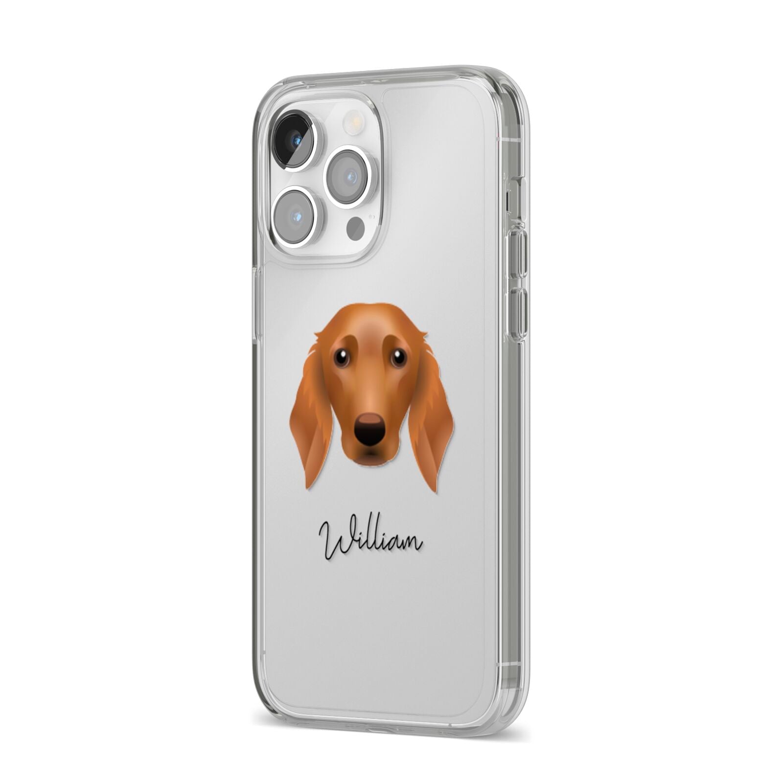 Golden Dox Personalised iPhone 14 Pro Max Clear Tough Case Silver Angled Image