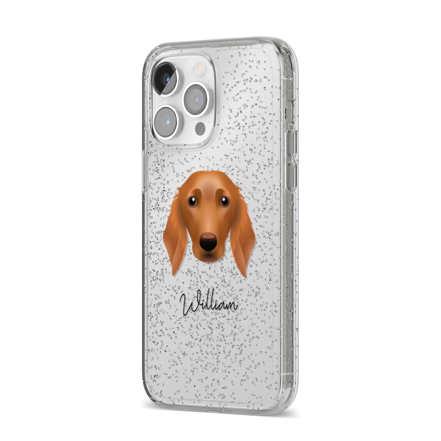 Golden Dox Personalised iPhone 14 Pro Max Glitter Tough Case Silver Angled Image