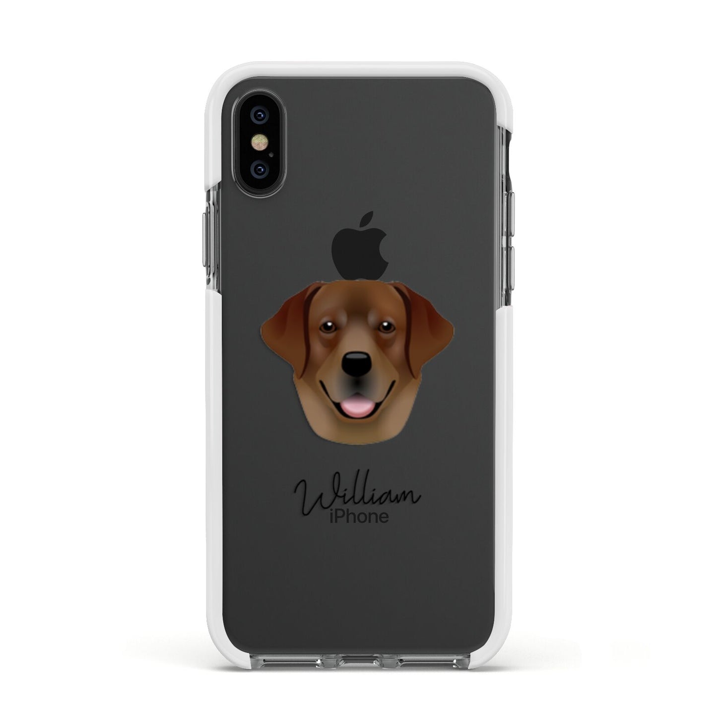 Golden Labrador Personalised Apple iPhone Xs Impact Case White Edge on Black Phone