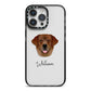Golden Labrador Personalised iPhone 14 Pro Max Black Impact Case on Silver phone