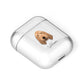 Griffon Fauve De Bretagne Personalised AirPods Case Laid Flat