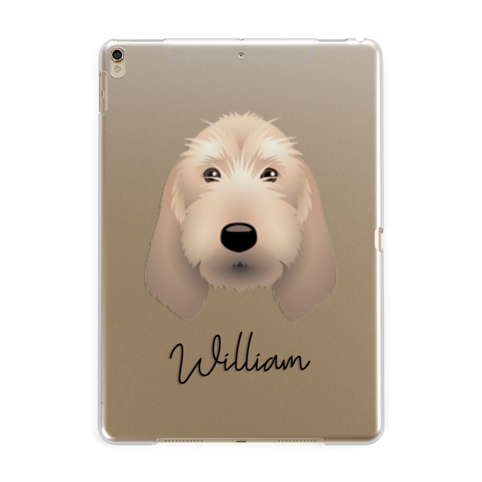 Griffon Fauve De Bretagne Personalised Apple iPad Gold Case