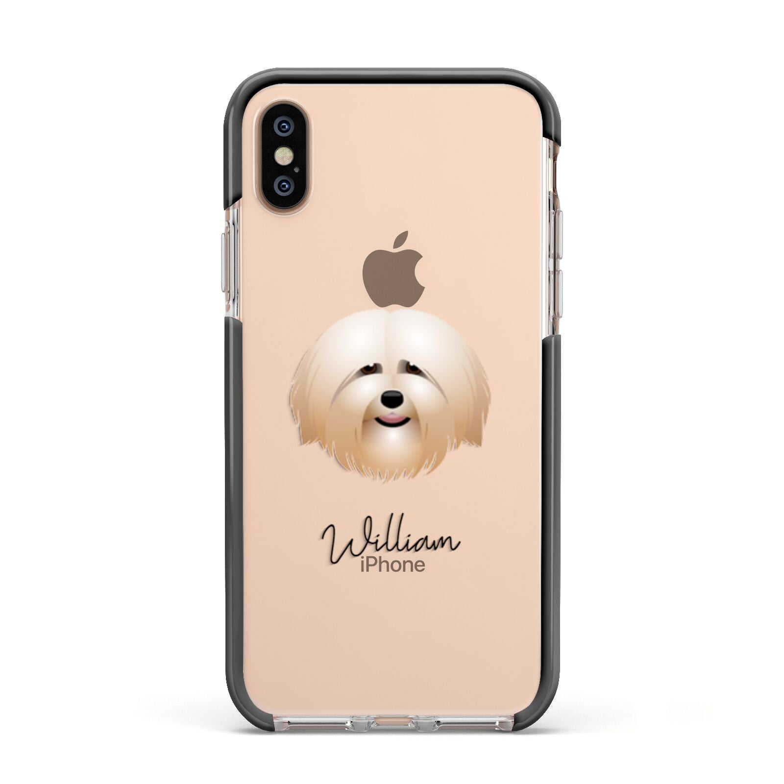 Havanese Personalised Apple iPhone Xs Impact Case Black Edge on Gold Phone