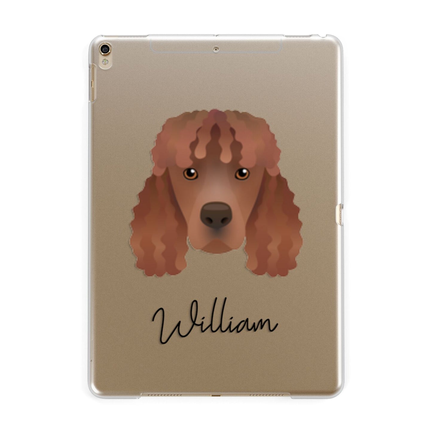 Irish Water Spaniel Personalised Apple iPad Gold Case