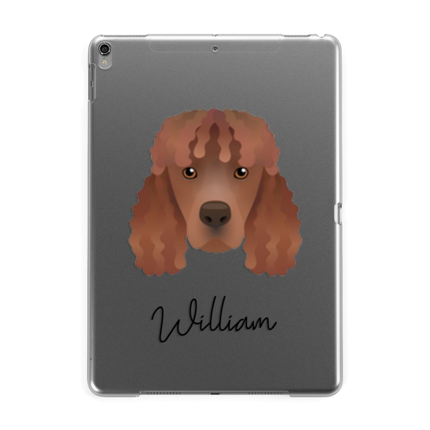 Irish Water Spaniel Personalised Apple iPad Grey Case