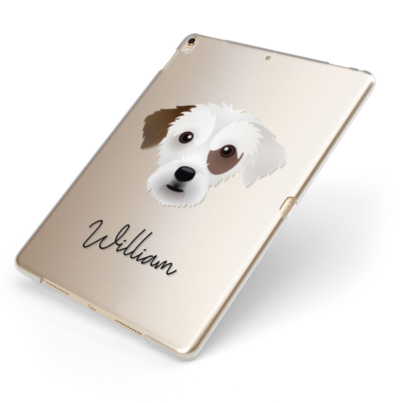 Jack A Poo Personalised Apple iPad Case on Gold iPad Side View