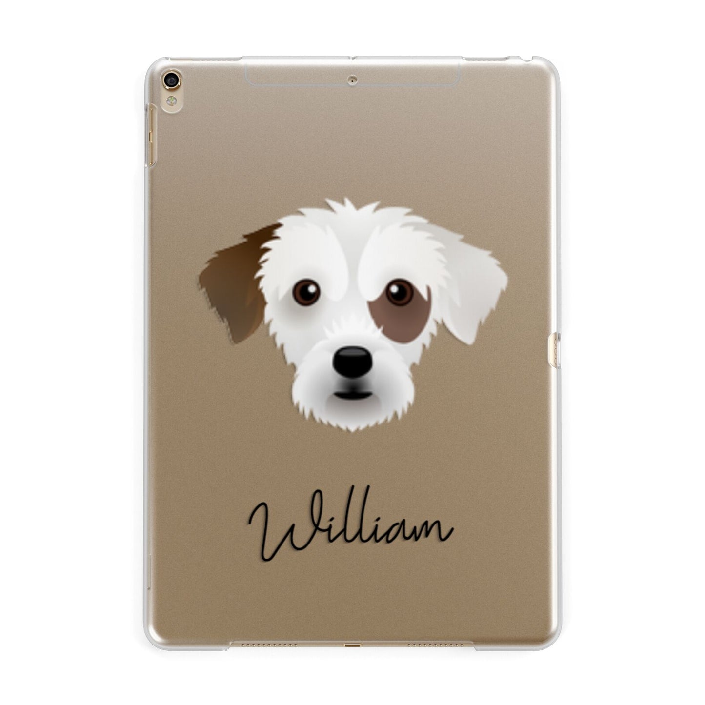 Jack A Poo Personalised Apple iPad Gold Case