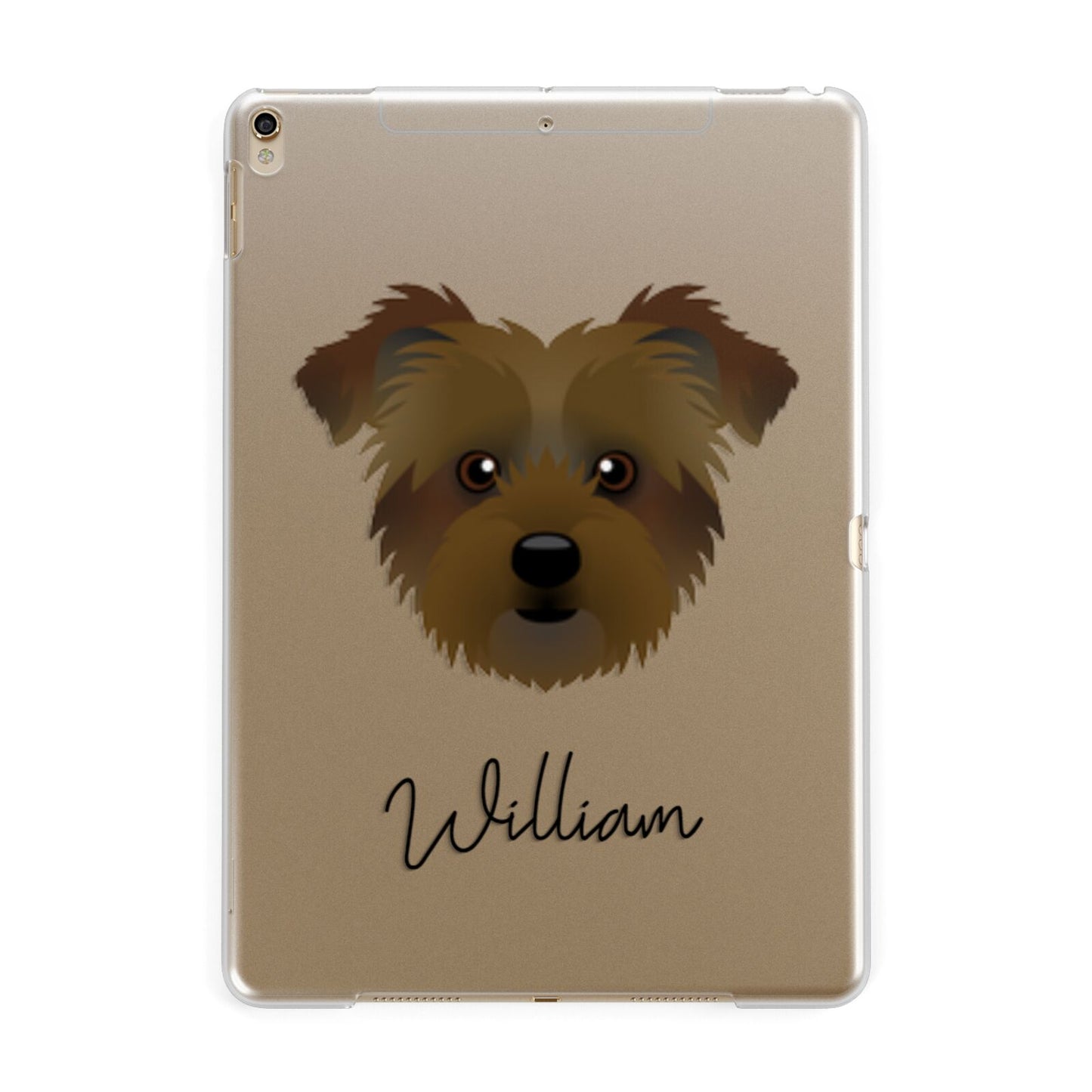 Jacktzu Personalised Apple iPad Gold Case