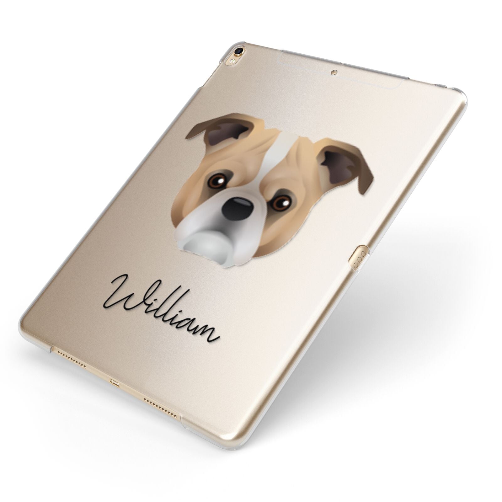 Jug Personalised Apple iPad Case on Gold iPad Side View