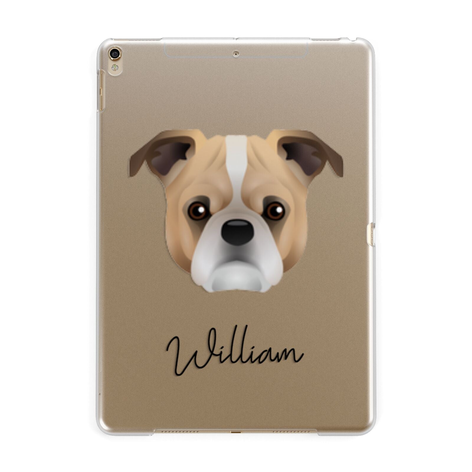 Jug Personalised Apple iPad Gold Case