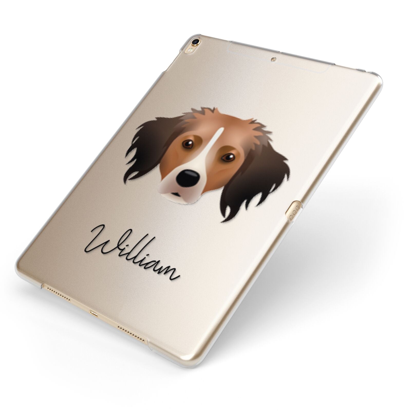 Kooikerhondje Personalised Apple iPad Case on Gold iPad Side View
