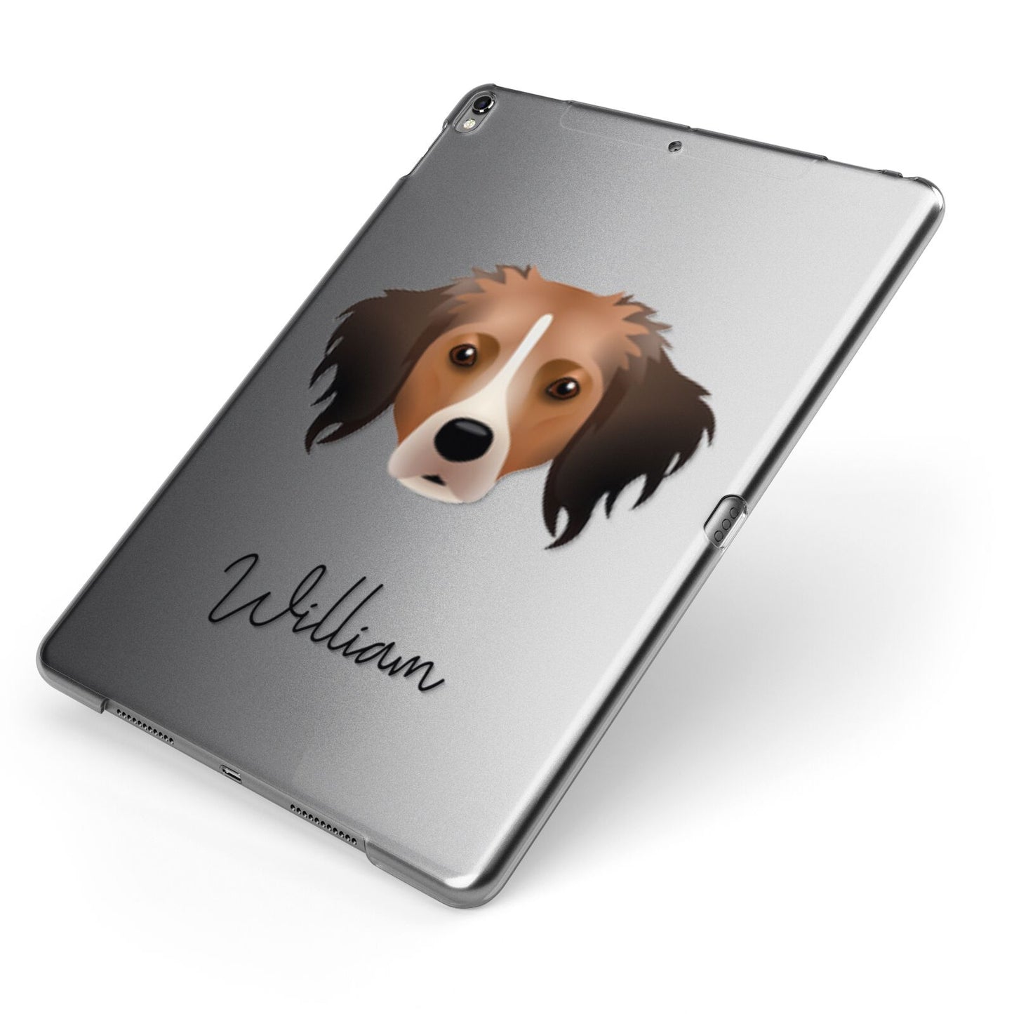 Kooikerhondje Personalised Apple iPad Case on Grey iPad Side View