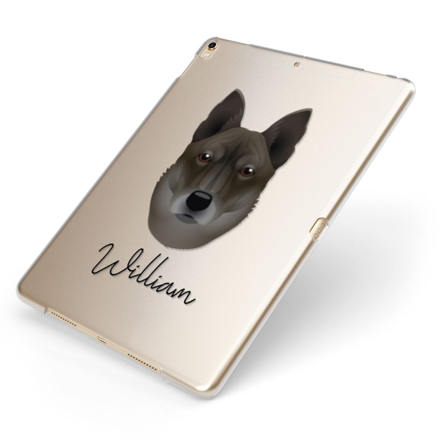 Korean Jindo Personalised Apple iPad Case on Gold iPad Side View