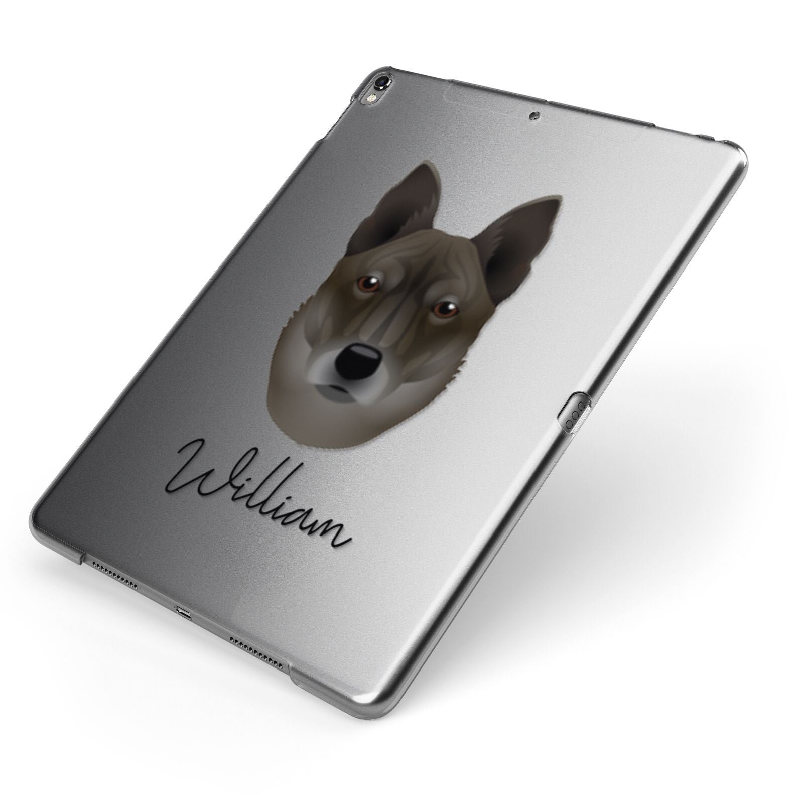 Korean Jindo Personalised Apple iPad Case on Grey iPad Side View