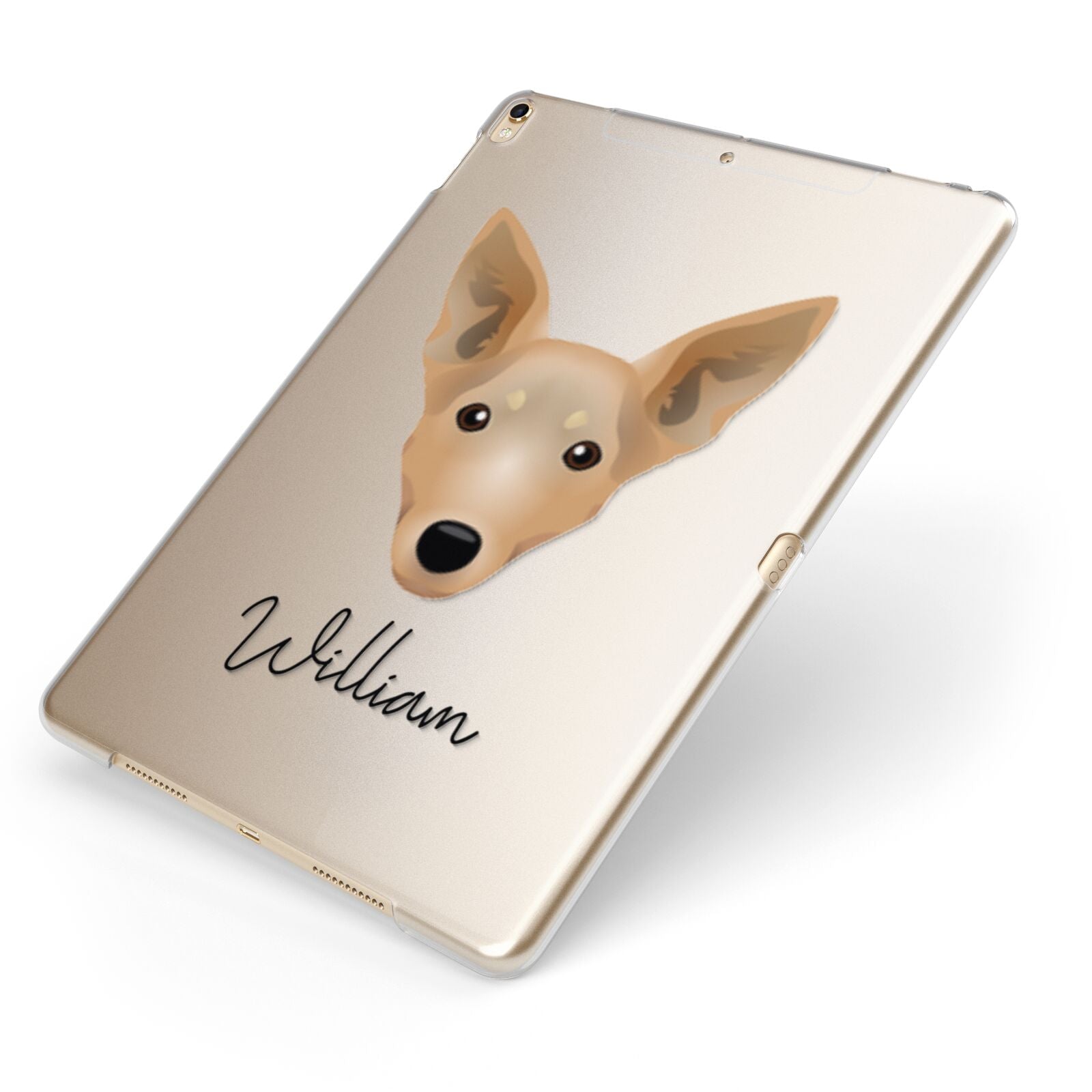 Lancashire Heeler Personalised Apple iPad Case on Gold iPad Side View