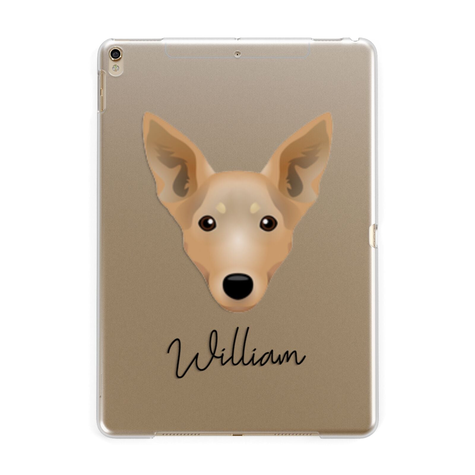 Lancashire Heeler Personalised Apple iPad Gold Case