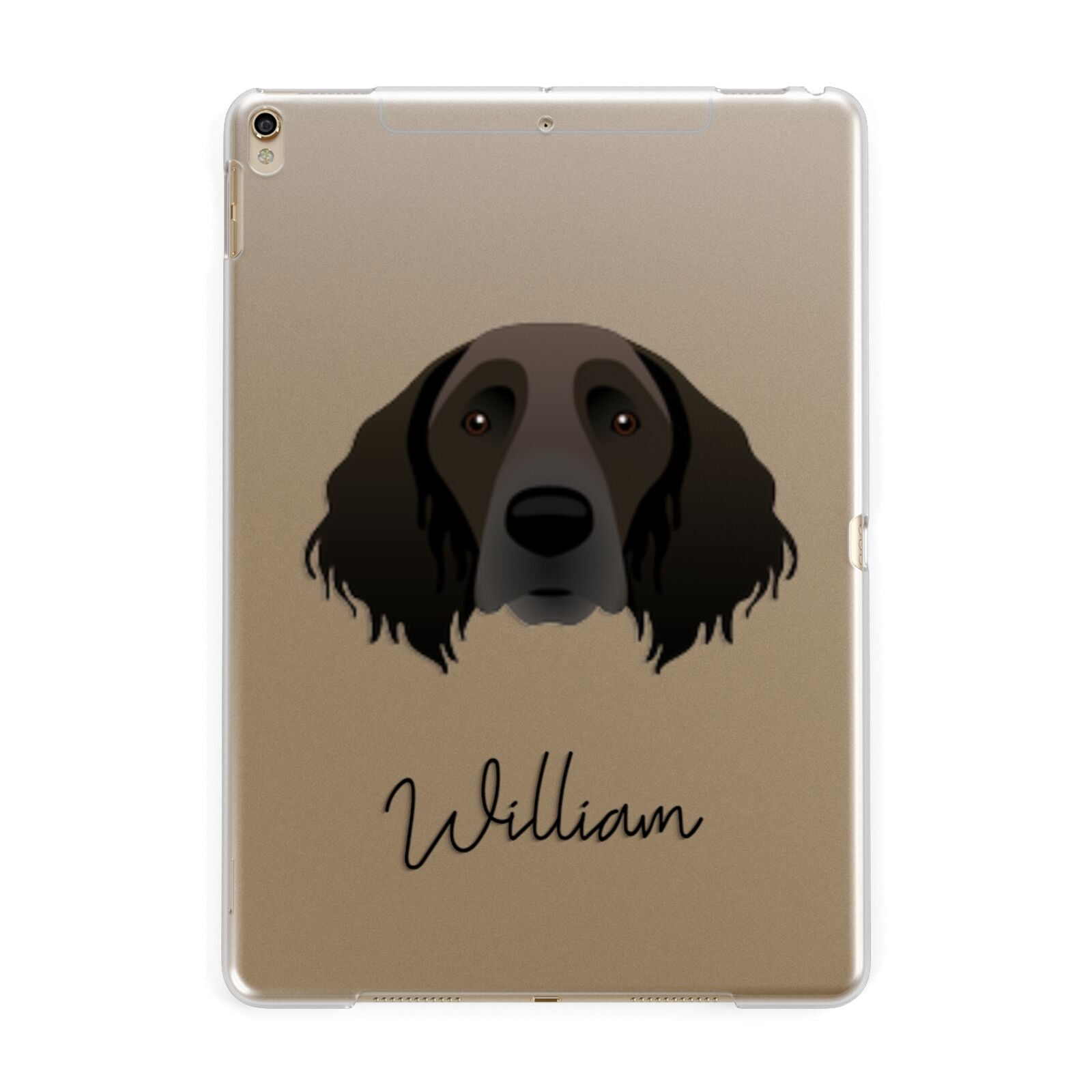 Large Munsterlander Personalised Apple iPad Gold Case