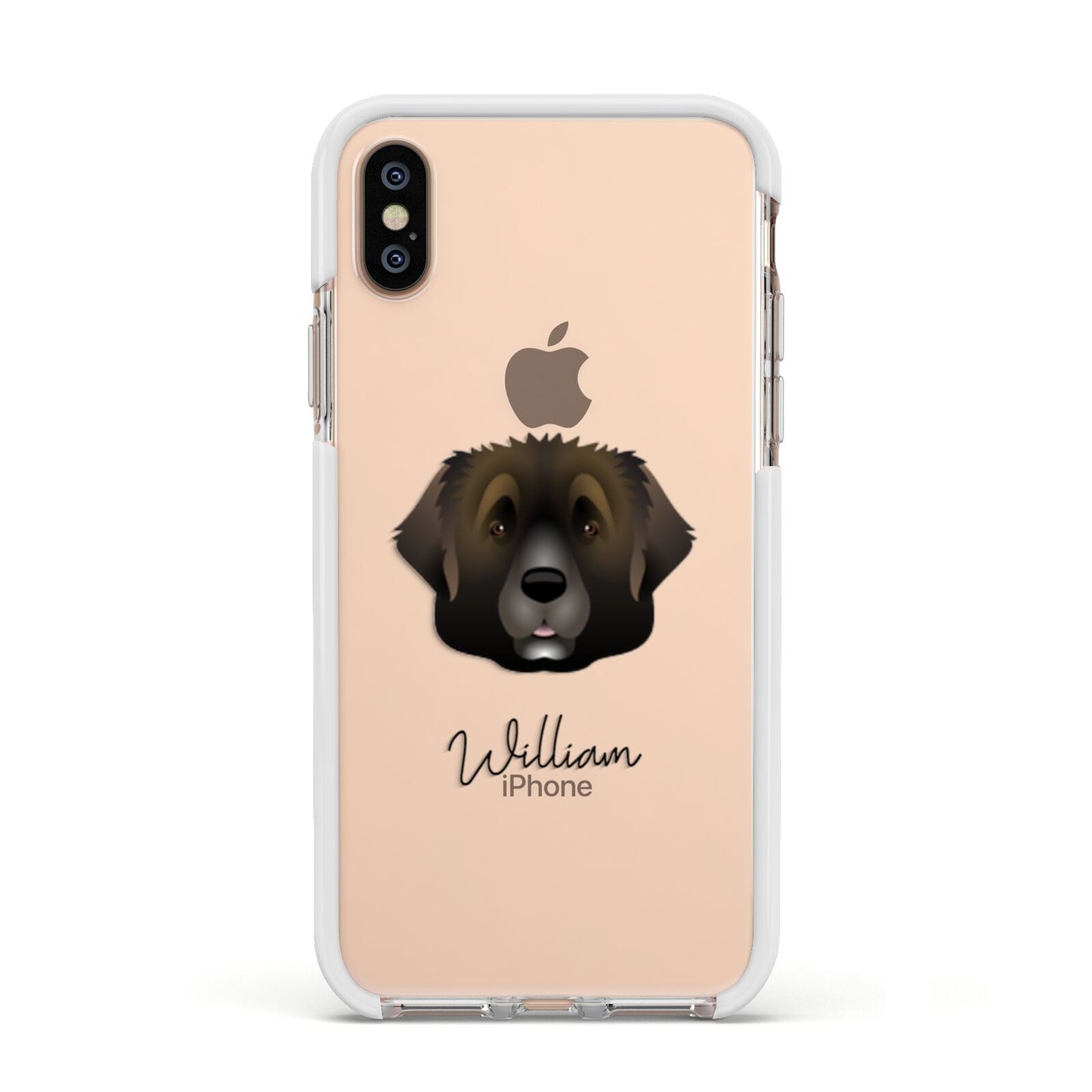 Leonberger Personalised Apple iPhone Xs Impact Case White Edge on Gold Phone