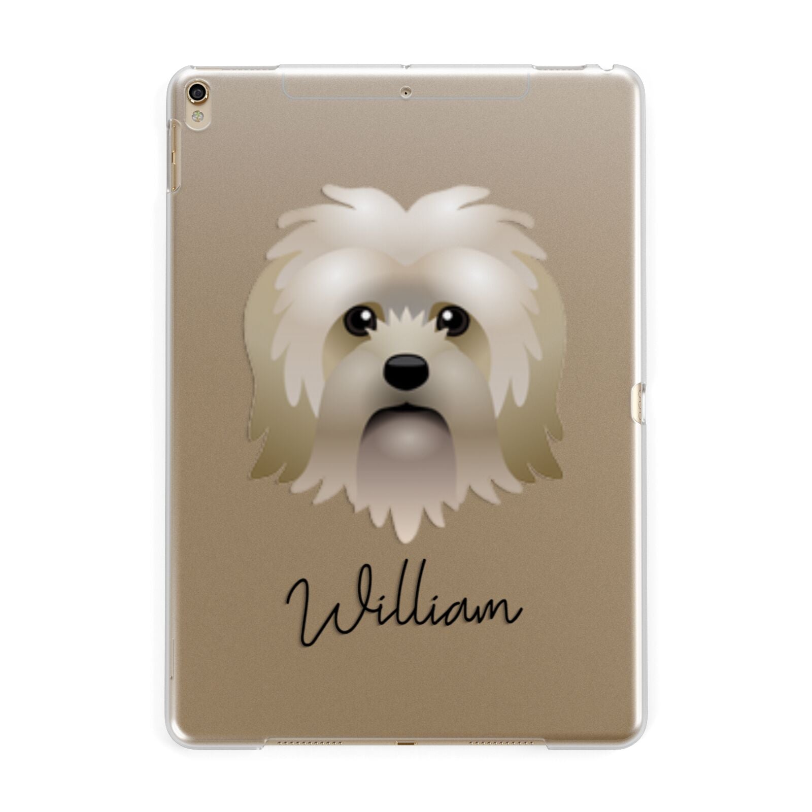 Lo wchen Personalised Apple iPad Gold Case