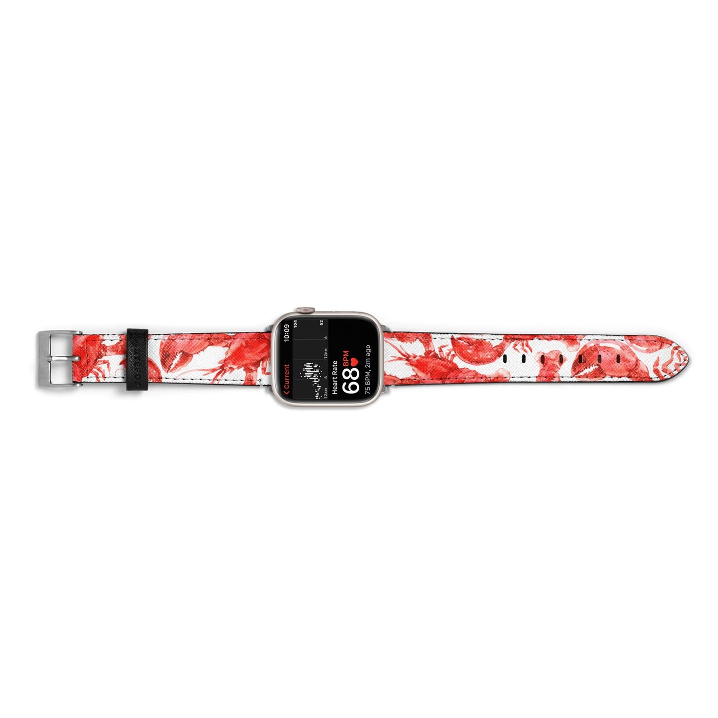 Lobster Apple Watch Strap Size 38mm Landscape Image Silver Hardware