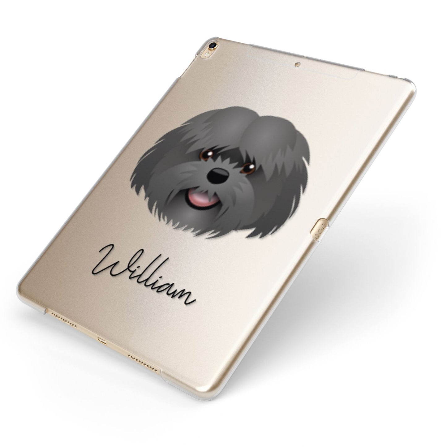 Mal Shi Personalised Apple iPad Case on Gold iPad Side View