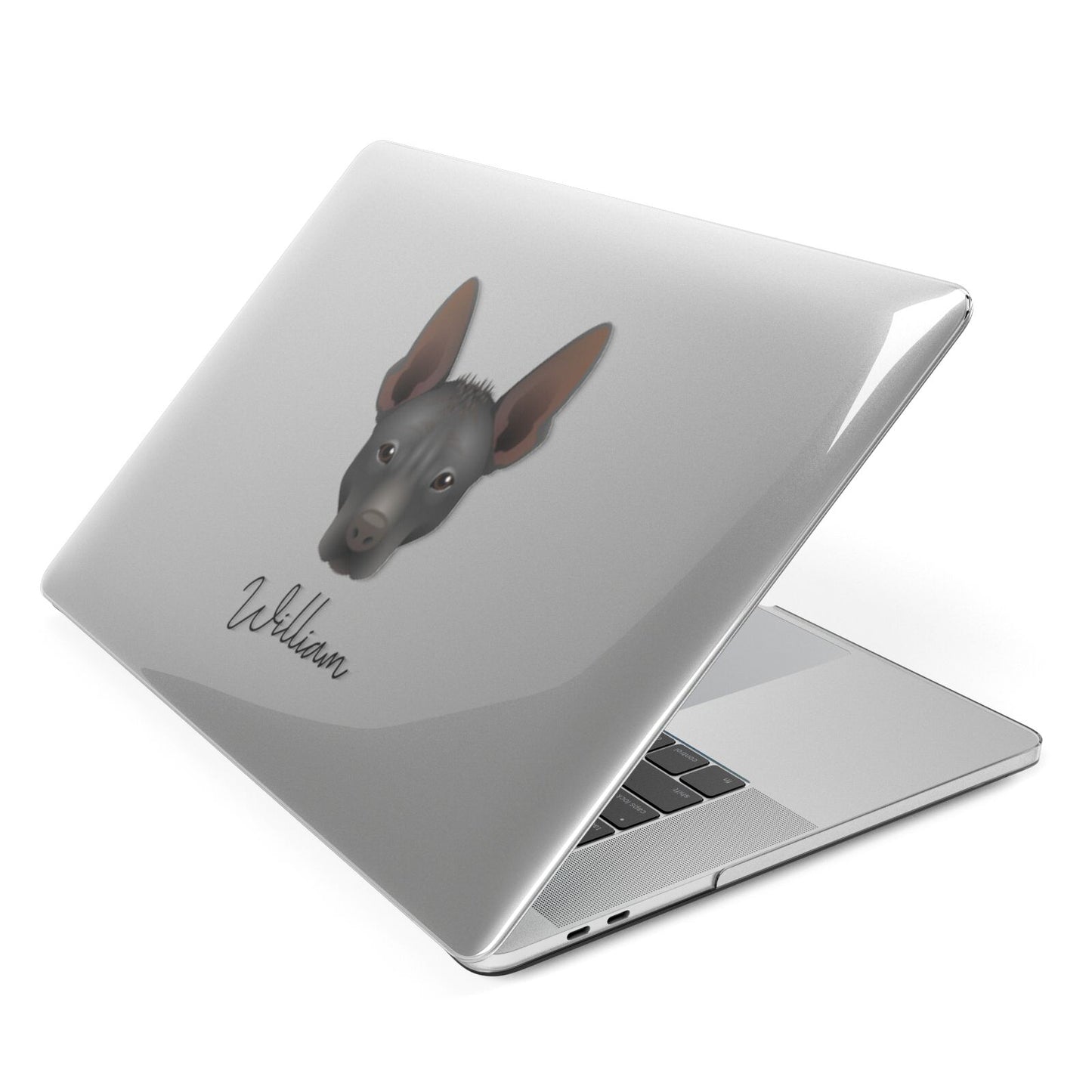 Mexican Hairless Personalised Apple MacBook Case Side View
