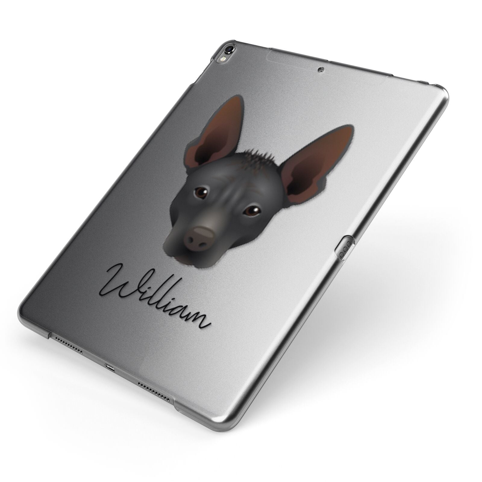 Mexican Hairless Personalised Apple iPad Case on Grey iPad Side View