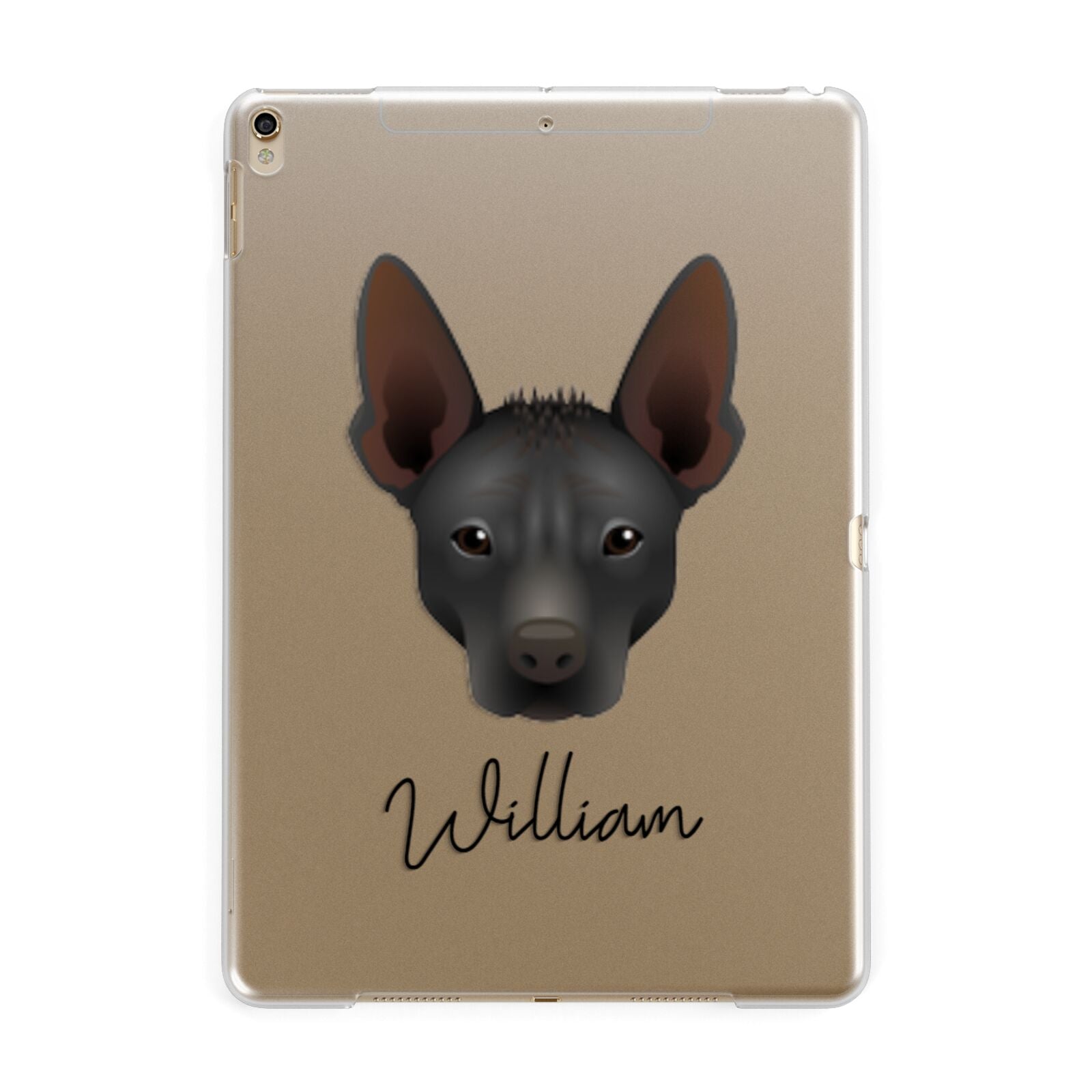 Mexican Hairless Personalised Apple iPad Gold Case