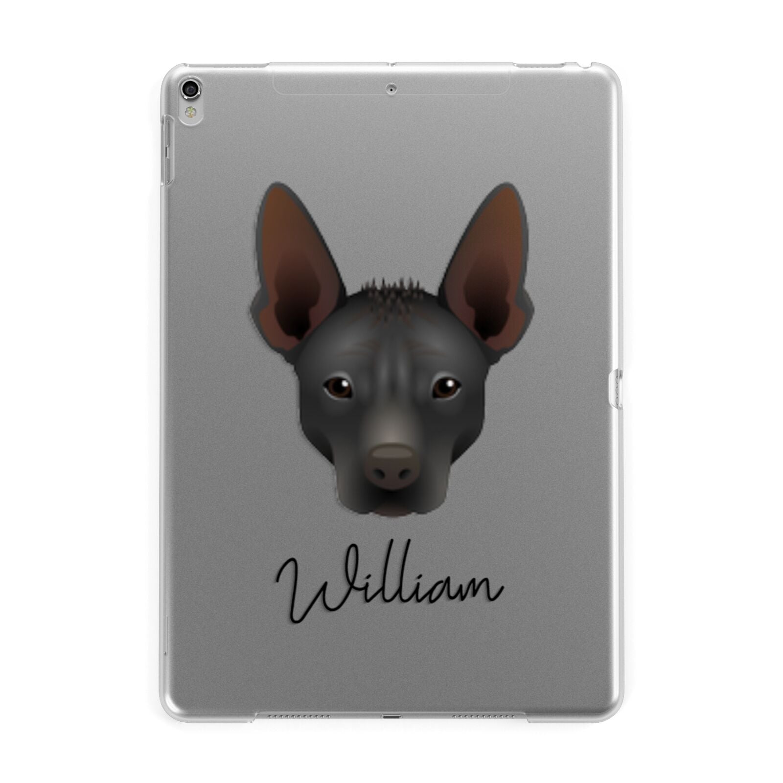 Mexican Hairless Personalised Apple iPad Silver Case