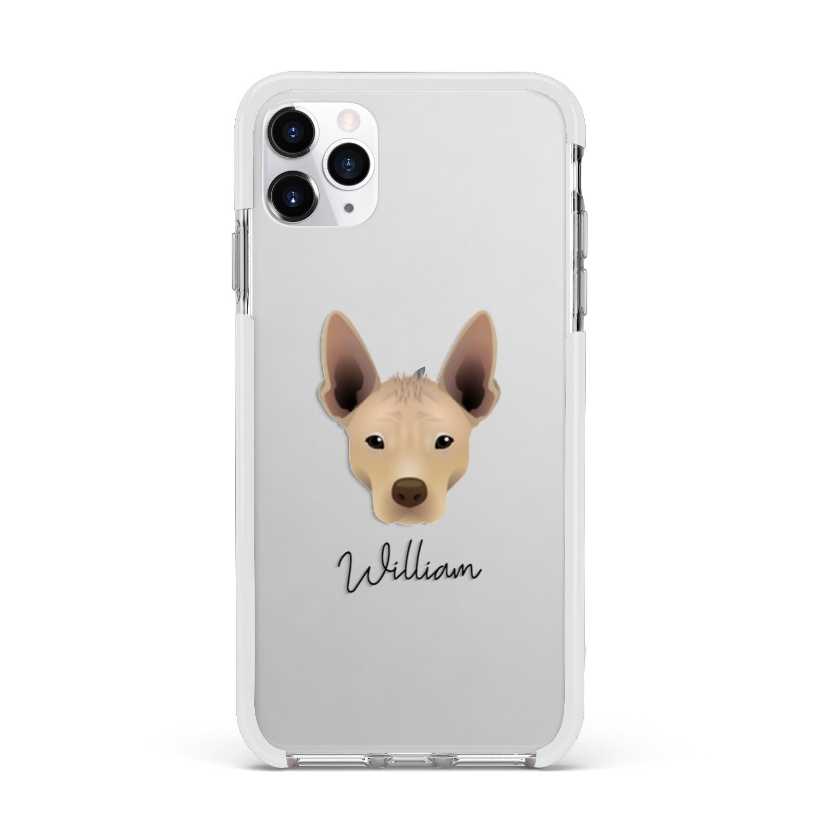 Mexican Hairless Personalised Apple iPhone 11 Pro Max in Silver with White Impact Case