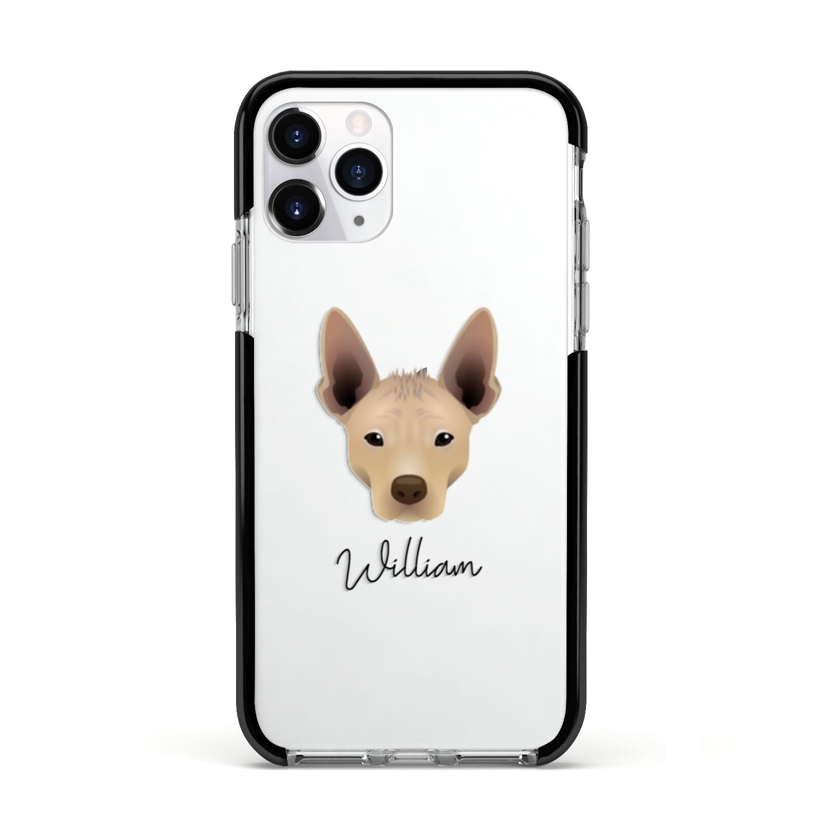 Mexican Hairless Personalised Apple iPhone 11 Pro in Silver with Black Impact Case