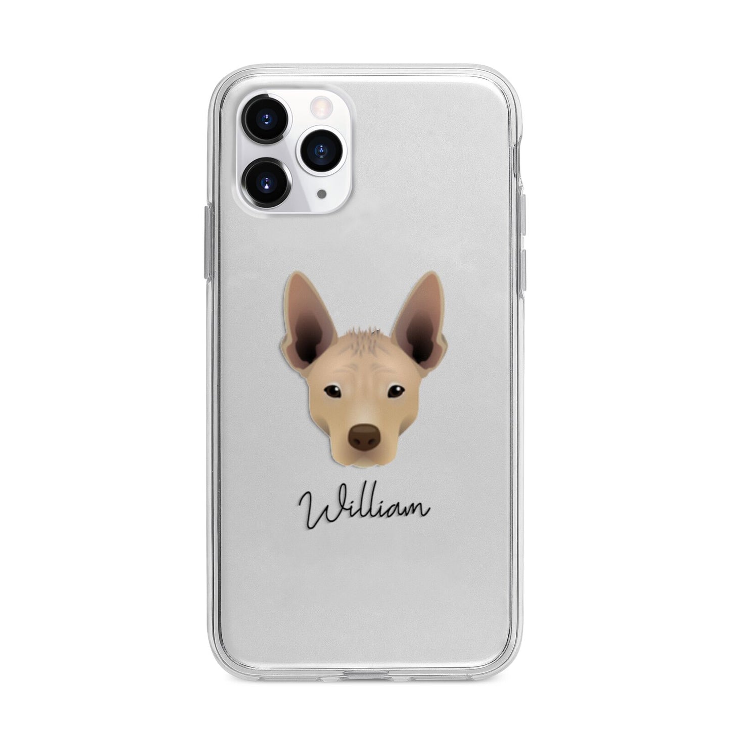 Mexican Hairless Personalised Apple iPhone 11 Pro in Silver with Bumper Case