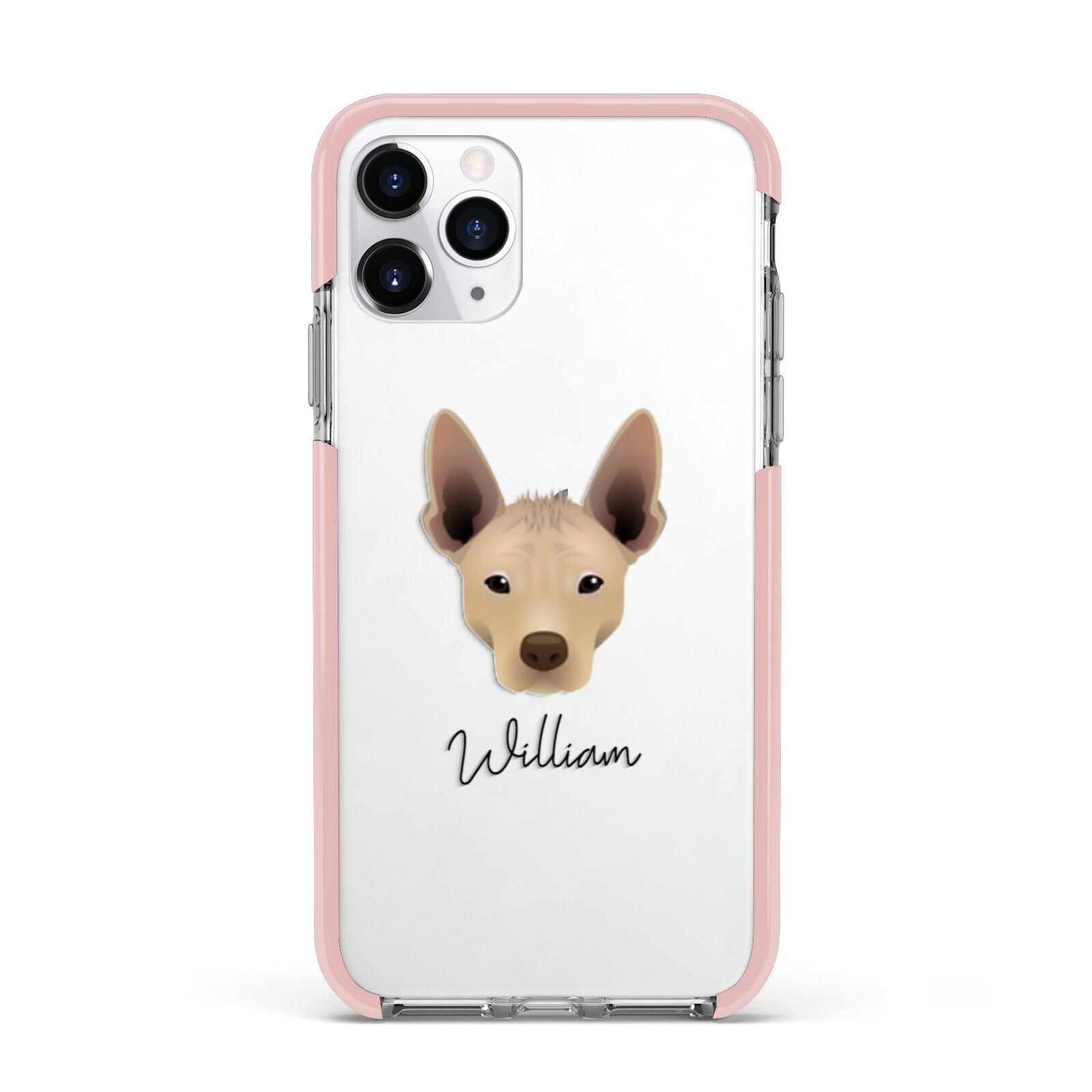Mexican Hairless Personalised Apple iPhone 11 Pro in Silver with Pink Impact Case