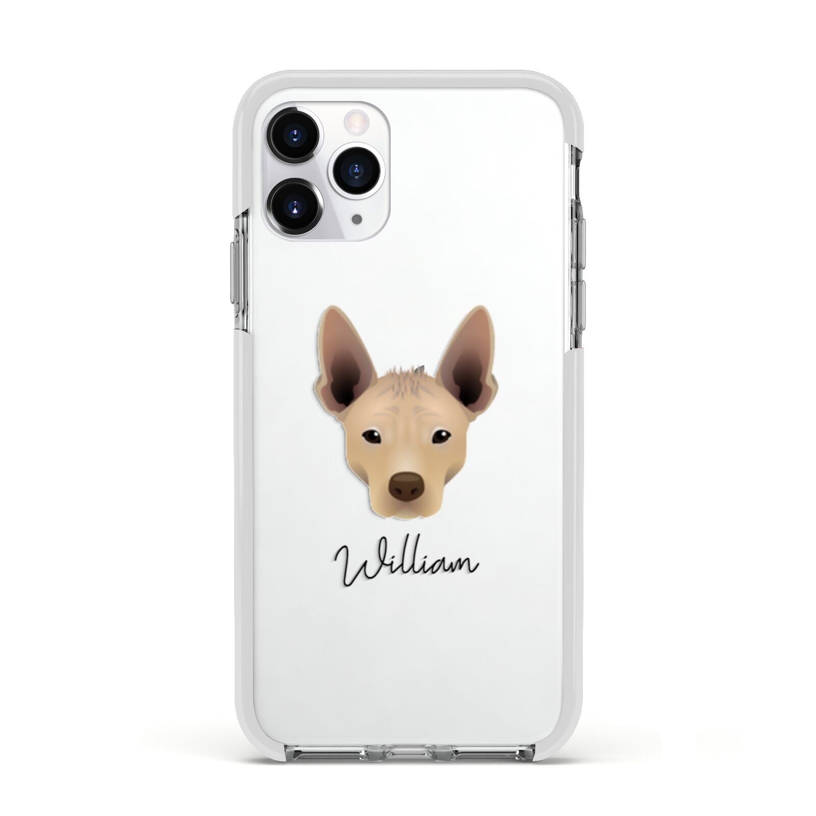 Mexican Hairless Personalised Apple iPhone 11 Pro in Silver with White Impact Case